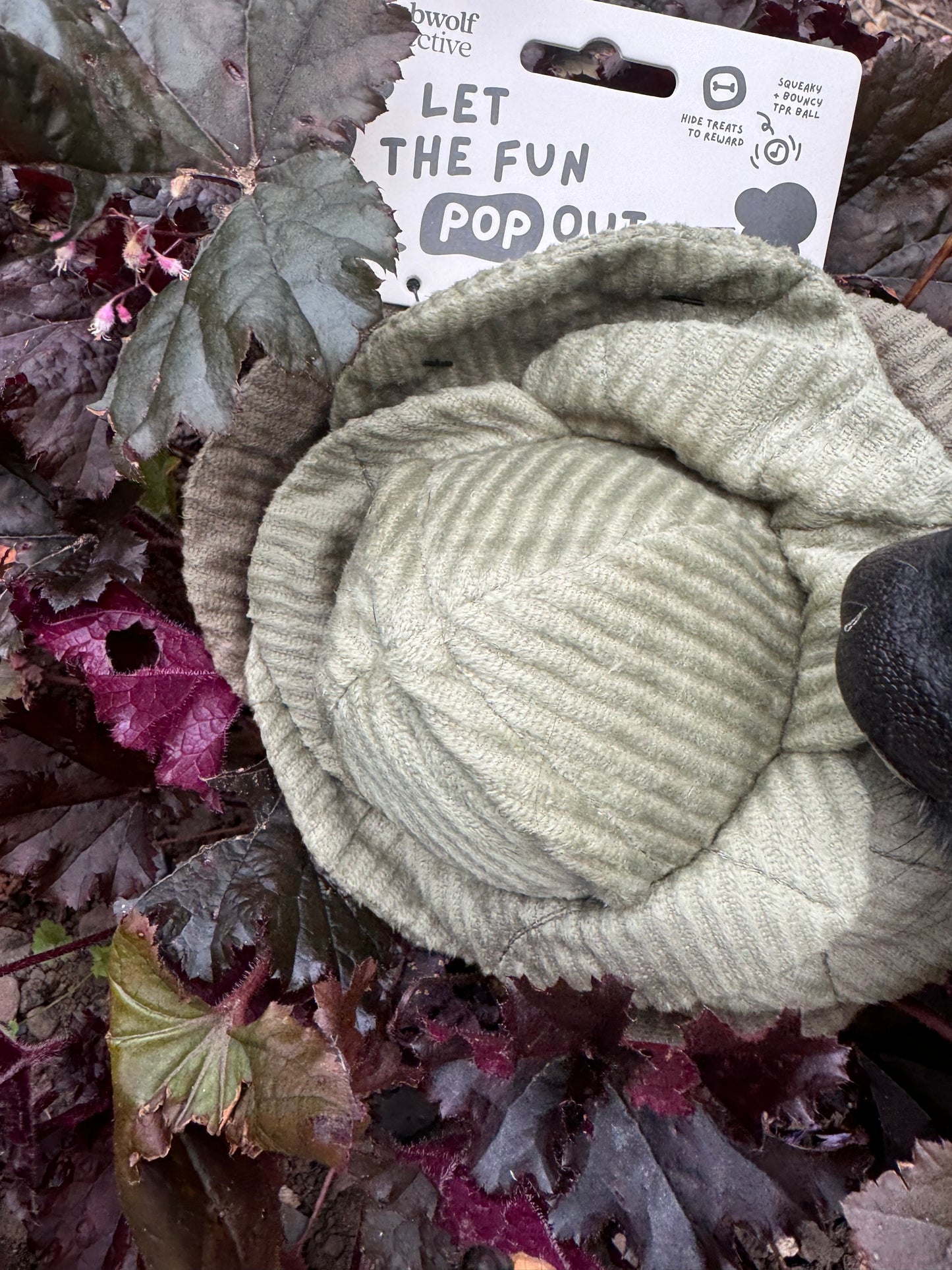 Cabbage Pop - Snuffle Toy