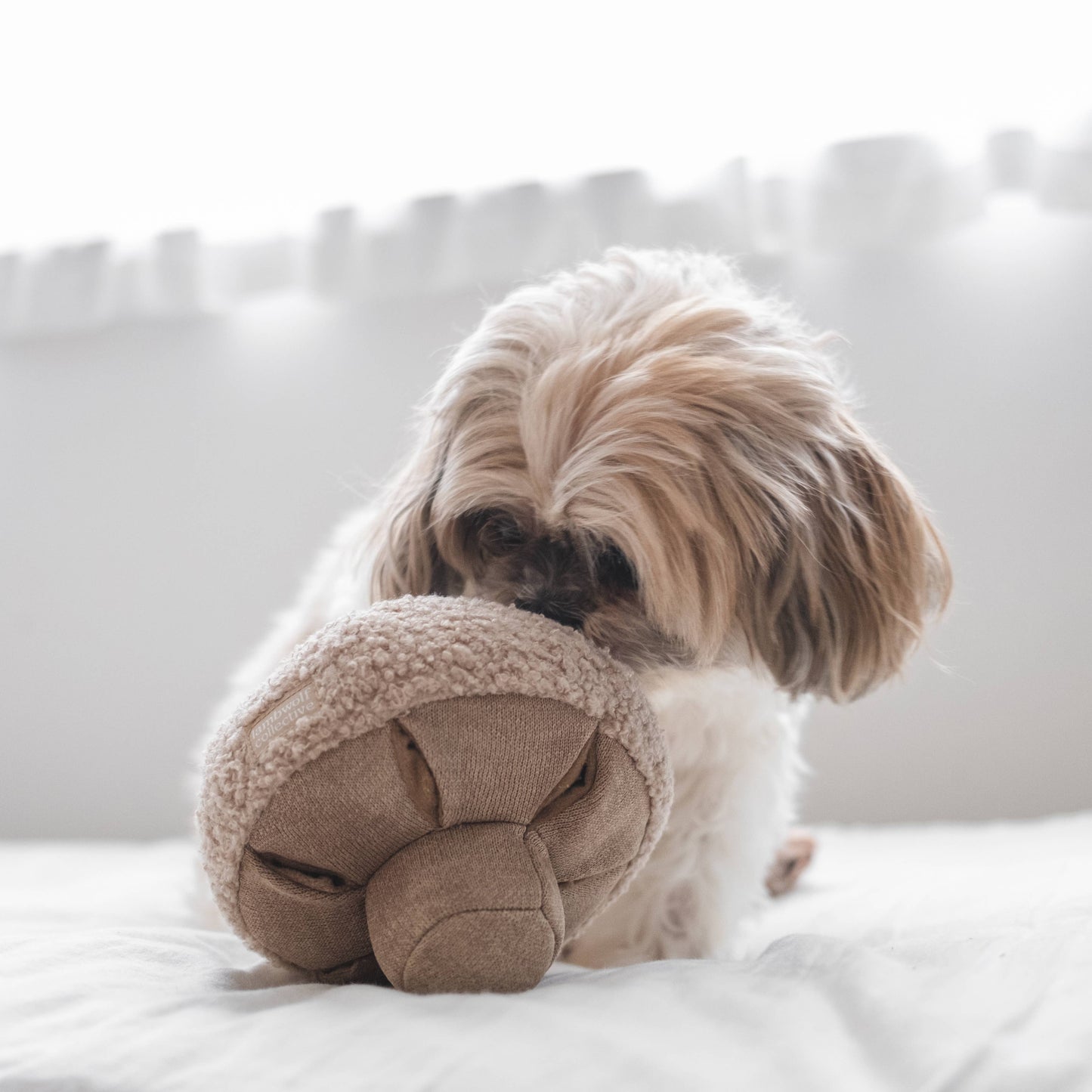 Oat Mushroom - Snuffle Toy