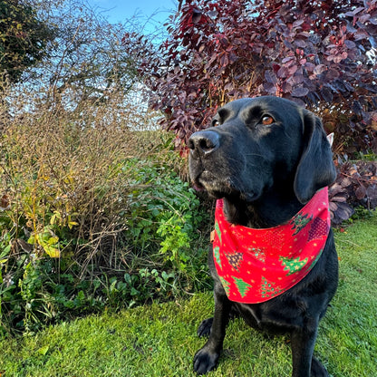 Christmas Trees Bandana