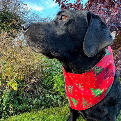 Christmas Trees Bandana