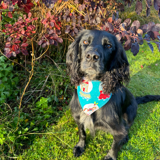 Snowglobe Bandana