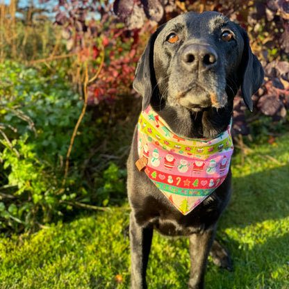 Christmas Doodles Bandana