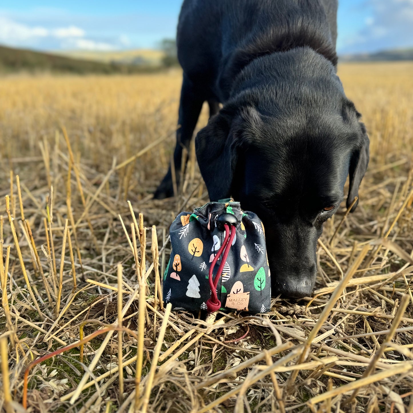 Scandi Forest Treat Bag