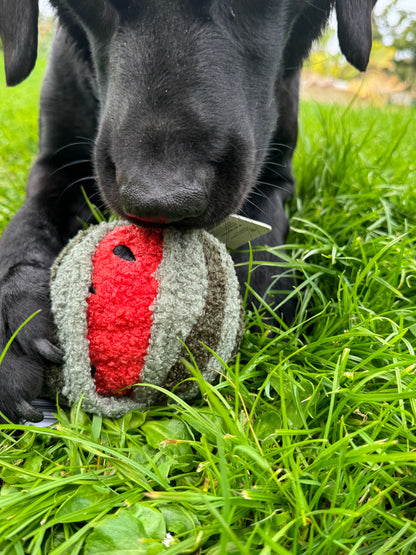 Watermelon Pop - Snuffle Toy