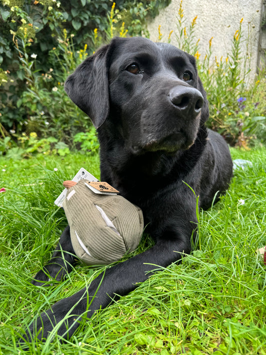 Butternut - Snuffle Toy