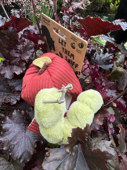 Apple - Snuffle Toy