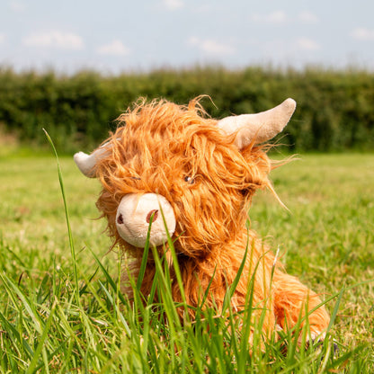 Heritage Fergus Highland Cow