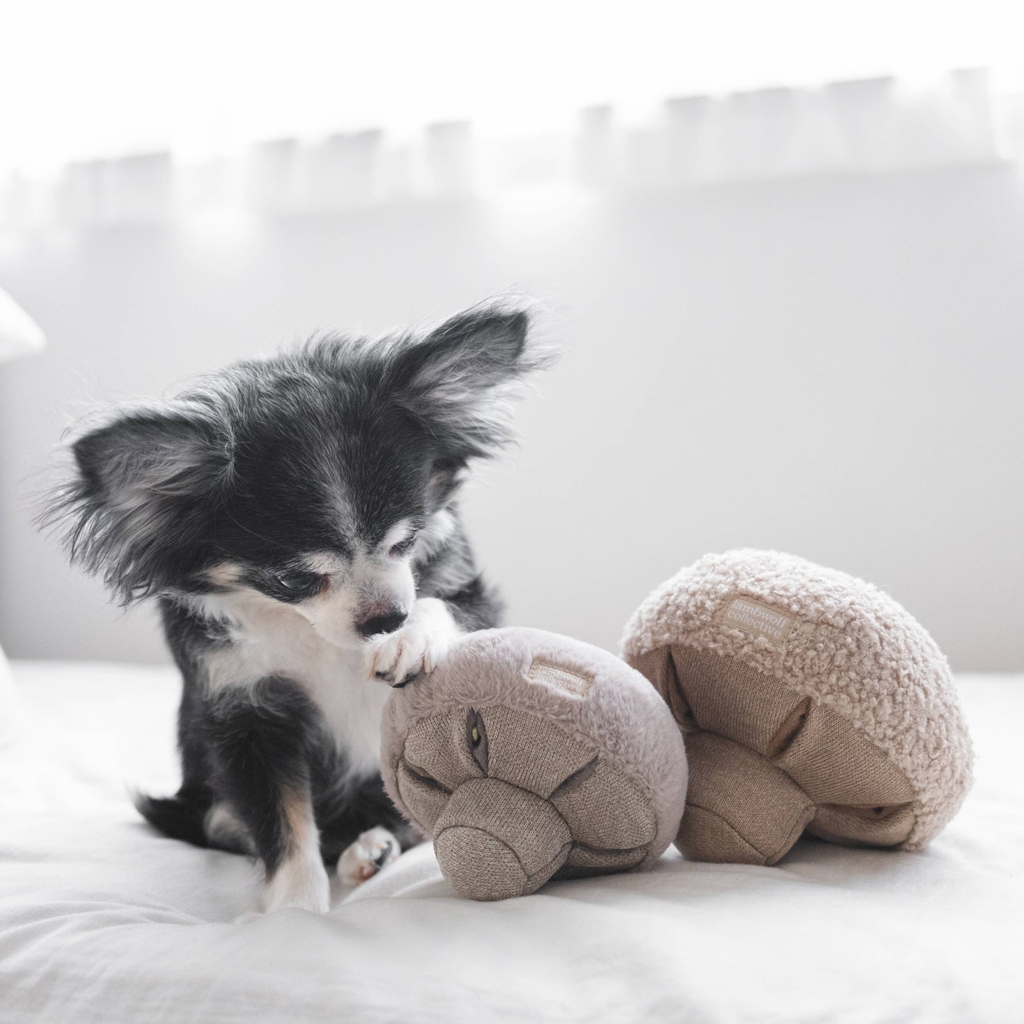 Oat Mushroom - Snuffle Toy