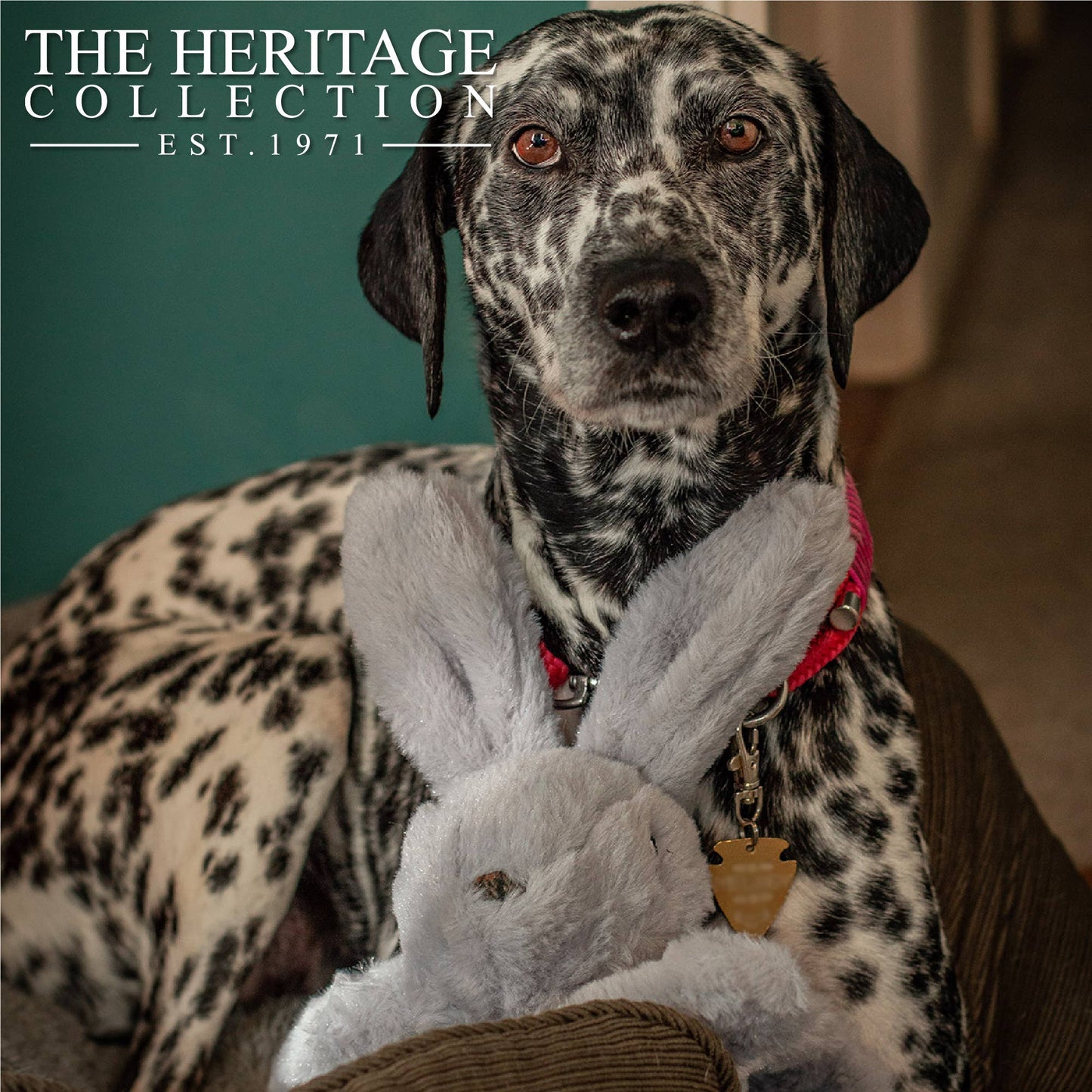 The Heritage Collection - Badger & Bunny